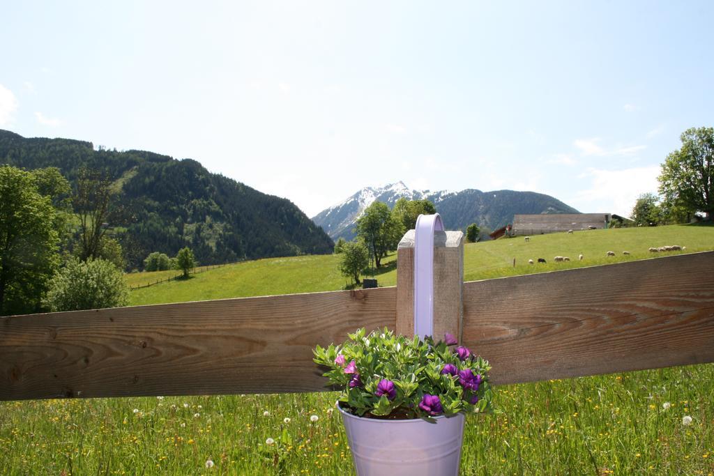 Haus Bergliebe Apartment Schladming Ngoại thất bức ảnh